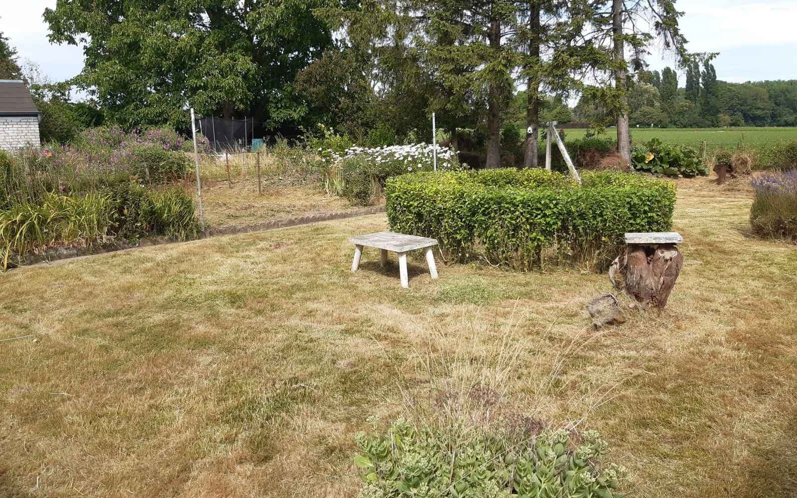 Jardin tondu et entretenu